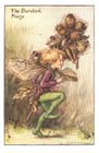 Burdock