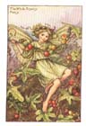 WhiteBryony